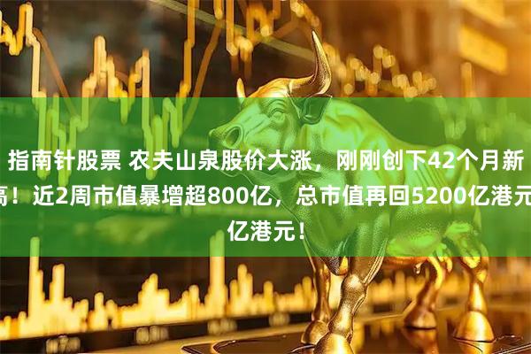 指南针股票 农夫山泉股价大涨，刚刚创下42个月新高！近2周市值暴增超800亿，总市值再回5200亿港元！