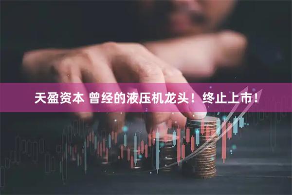 天盈资本 曾经的液压机龙头！终止上市！
