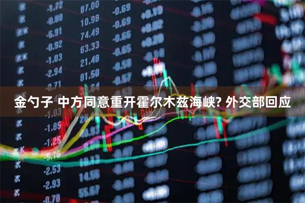 金勺子 中方同意重开霍尔木兹海峡? 外交部回应